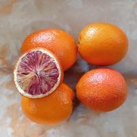 پرتقال تو سرخ موزی