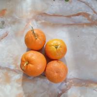 نارنج شیرازی