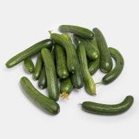 خیار اقتصادی