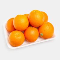 پرتقال شهسواری درجه 1