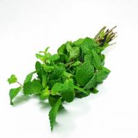 سبزی پونه پاک شده 