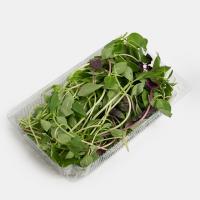 سبزی ریحان سبز پاک شده 