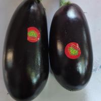 بادمجان لامپی