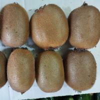 کیوی هایوارد ممتاز 