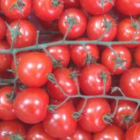 گوجه گیلاسی خوشه ای