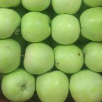 سیب گلاب شهریار