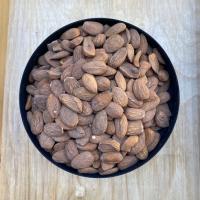 بادام آریایی