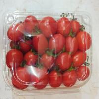 گوجه گیلاسی