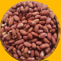بادام زمینی آستانه اشرفیه