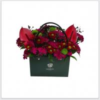 بگ سبز آنتریوم و کرزنتیا کد 203