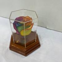 رز جاودان فلکسی پایه مسی