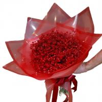دسته گل ژیپسوفیلیا قرمز