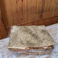 جو خشک شویدی