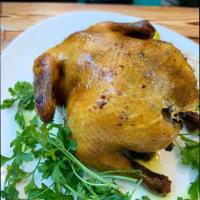 خوراک اکبر جوجه