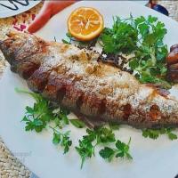 خوراک ماهی قزل آلا سرخ شده