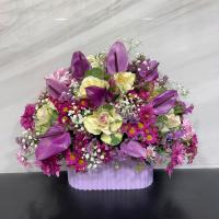 باکس مادرانه بنفش