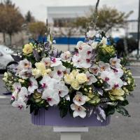 باکس ویژه زمستانه روز مادر