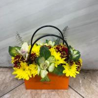 باکس مادرانه مدل کیفی پاییزه