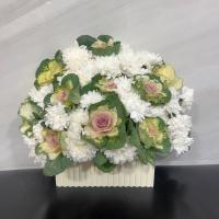 باکس مادرانه سفید و نباتی