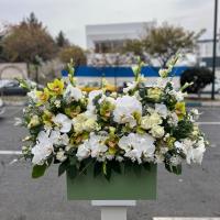 باکس ویژه بهاری روز مادر