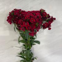 دسته گل قرنفل زرشکی