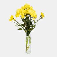 دسته گل داوودی زرد