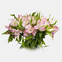 دسته گل آلسترومریا صورتی