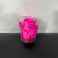 رز جاودان صورتی بدون باکس