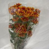 دسته گل داوودی نارنجی