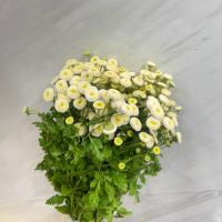 دسته گل مخلصه