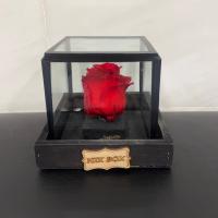 رز جاودان قرمز