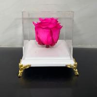 رز جاودان صورتی