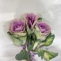 دسته گل کلم بنفش (آکازیا)