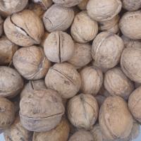 گردو با پوست خارجی