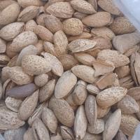 بادام درختی پوست کاغذی