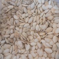 تخم کدو شور