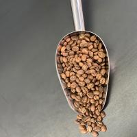 دانه قهوه کلمبیا 100 درصد عربیکا