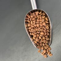 دانه قهوه اندونزی 100 درصد روبوستا