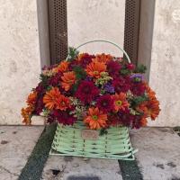 باكس كيف ملينا