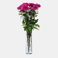 دسته گل داوودی مینیاتوری سرخابی