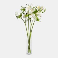 دسته گل آلسترومریا سفید