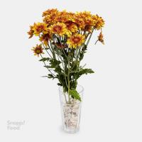 دسته گل داوودی مینیاتور نارنجی