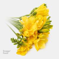 دسته گل فرزیا زرد