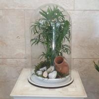 تراریوم نخل شامادورا