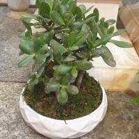 گلدان یشم بزرگ