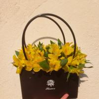 باکس گل آلسترومریا