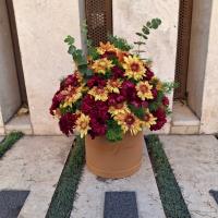 باکس گرد داوودی