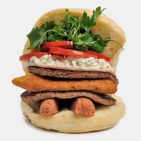 دبل همبرگر پارسا