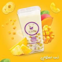 موکتل نت استوایی