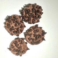 کوکی شکلات چیپسی مینیاتوری